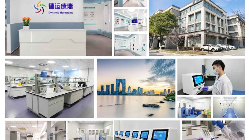 ELISA试剂盒：揭秘其背后的技术与应用差异