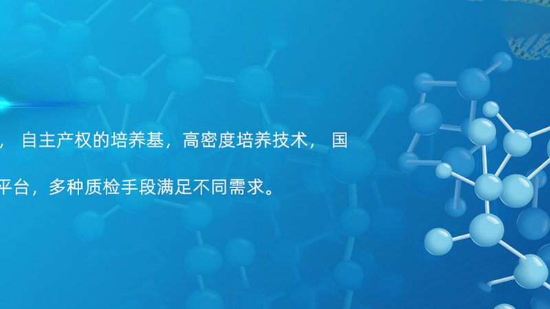 CDMO代理加盟，揭秘行业选择背后的逻辑
