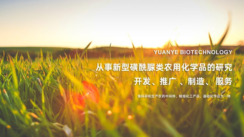 生物医药外包：如何选择靠谱的合作伙伴？**