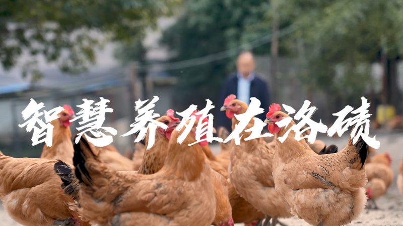 引物合成：生物科技研究的关键一步**