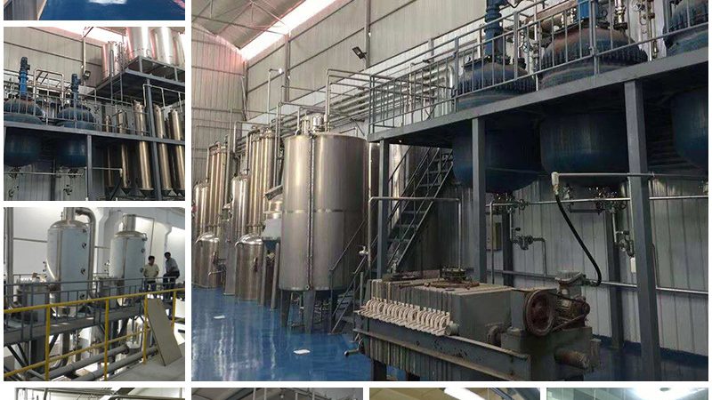 玻璃瓶还是塑料瓶？培养基储存容器选择揭秘**