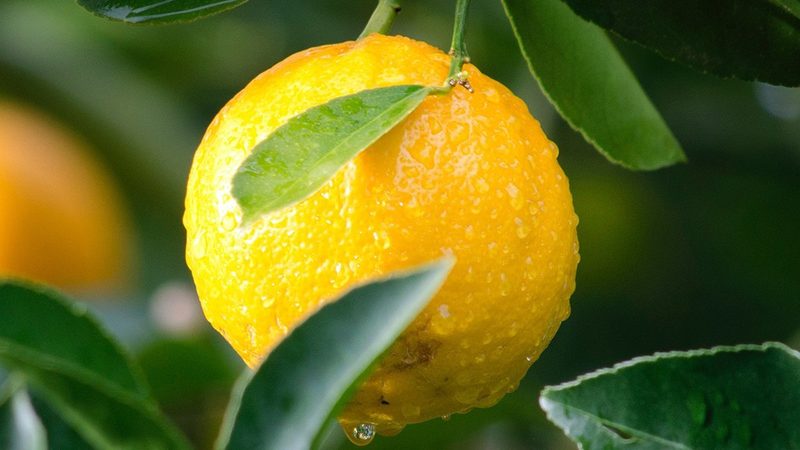 生物医药外包设备代理加盟，你了解多少？**