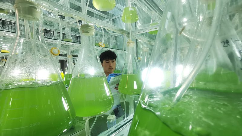 基因检测与基因筛查：揭开二者的神秘面纱